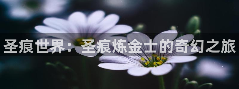 包子漫画官网免费阅读入口：圣痕世界：圣痕炼金士的奇幻之旅