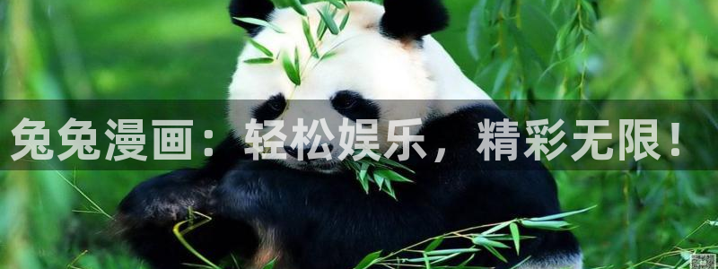 告白漫画包子漫画：兔兔漫画：轻松娱乐，精彩无限！